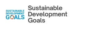 SDG Card